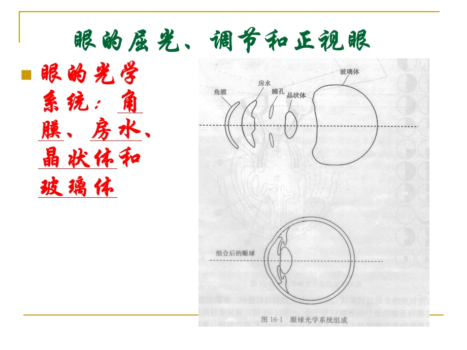 屈光不正和老视病人的护理课件.ppt_第2页