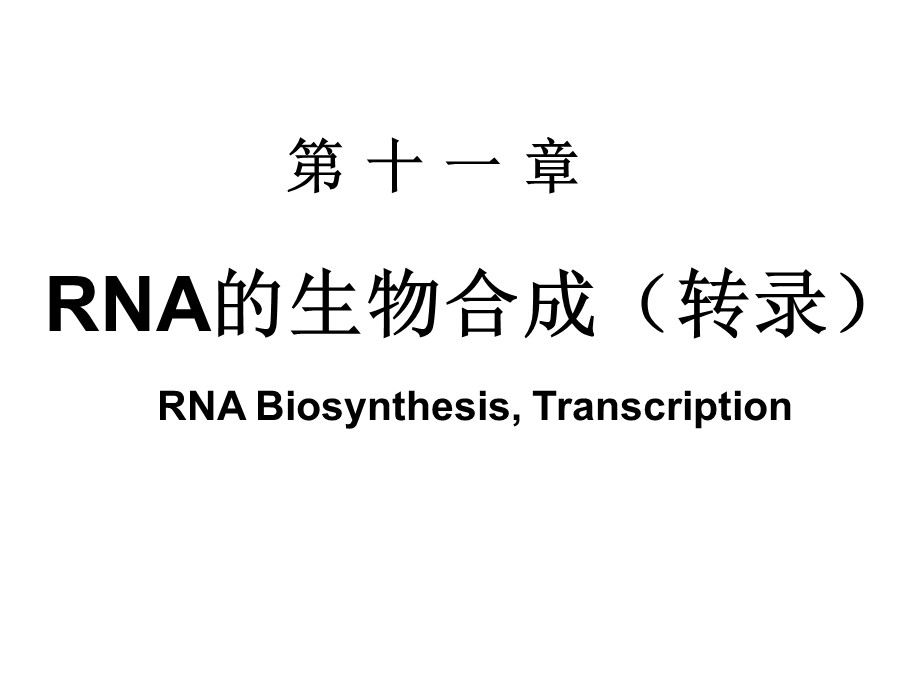 第十二章 RNA的生物合成课件.ppt_第1页