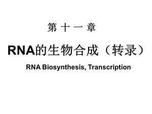 第十二章 RNA的生物合成课件.ppt