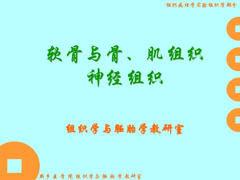 肌组织神经组织软骨与骨课件.ppt_第1页