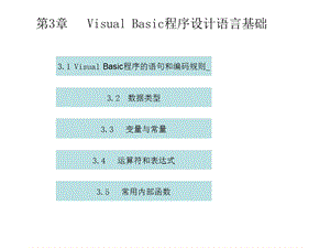 VisualBasic程序的语句和编码规则课件.ppt