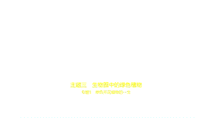 2021年北京中考生物复习练习ppt课件：03主题三--专题1-绿色开花植物的一生.pptx