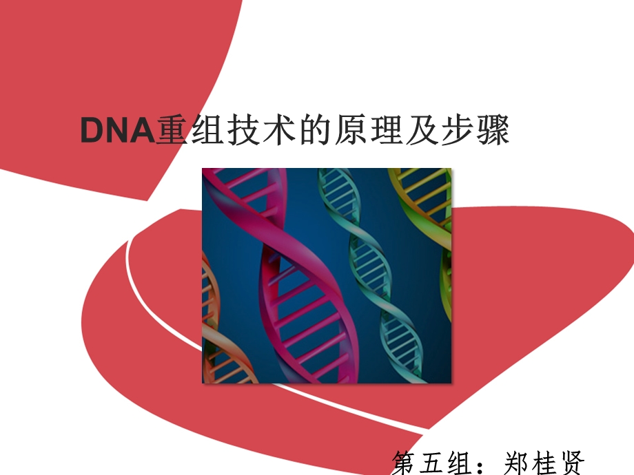 dna重组技术的原理及步骤 课件.ppt_第1页