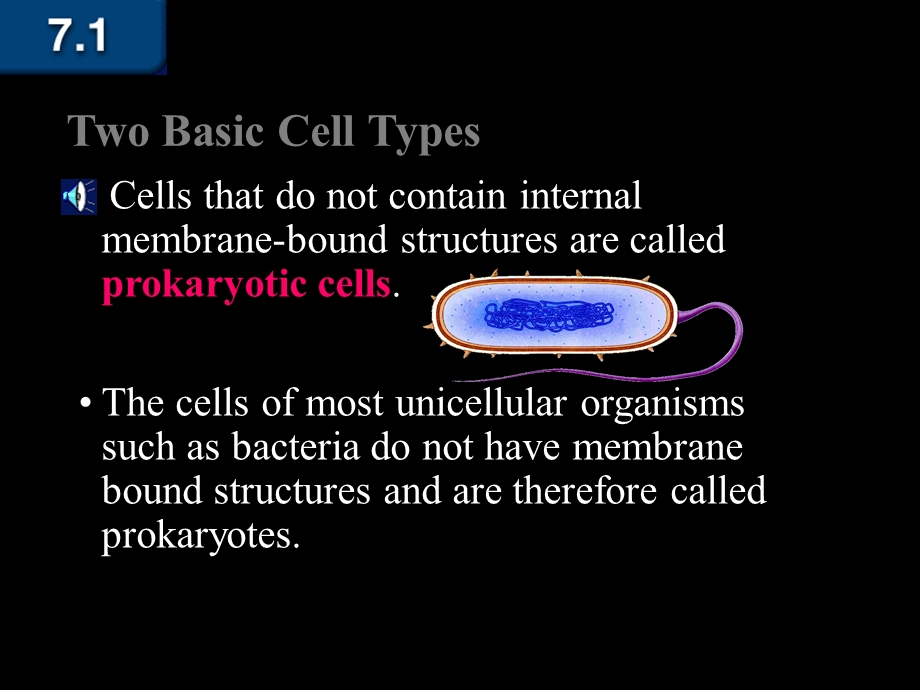 CellTypesReviewandPlasmamembrane细胞类型的审查与等离子体膜课件.ppt_第3页