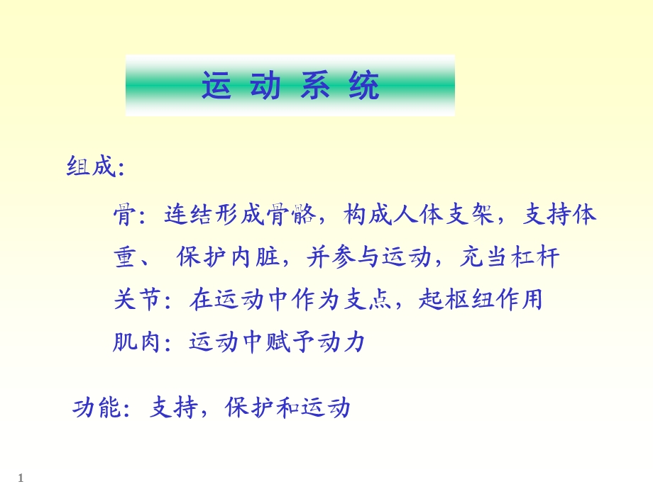 运动系统第一章骨学课件.ppt_第1页