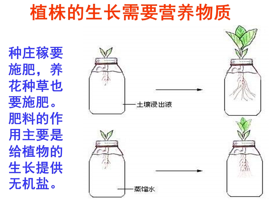 兴趣无土栽培课件.ppt_第3页