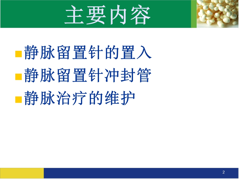 静脉留置针置入及维护新 课件.ppt_第2页