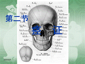 中医内科学ppt课件 12痉证.ppt