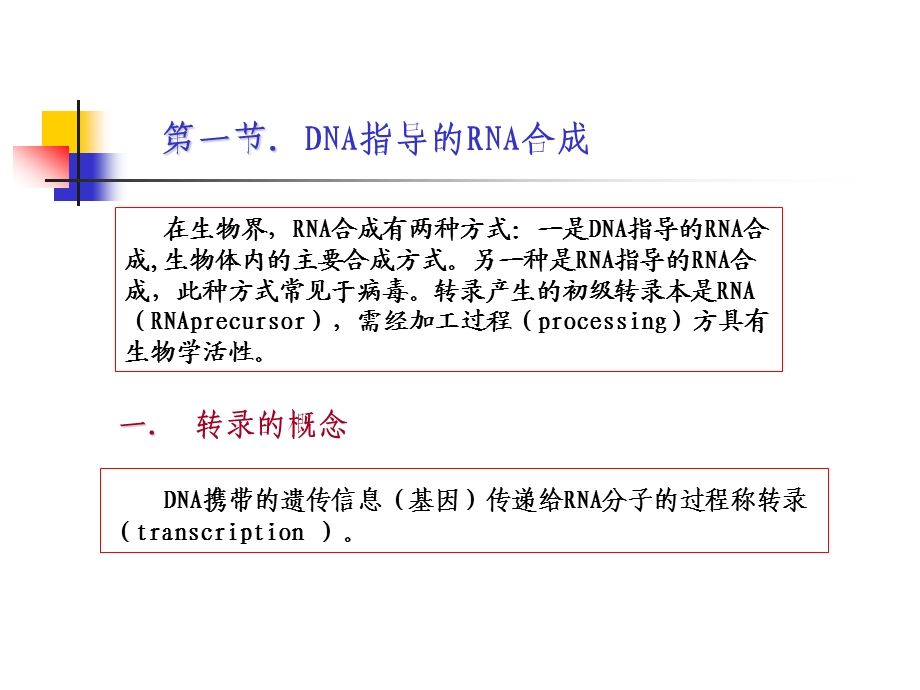 《生物化学ppt课件》12-RNA的生物合成.ppt_第3页