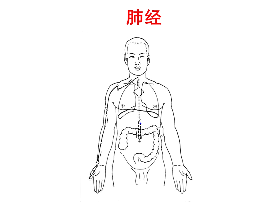 中医基础理论复习资料(中部)课件.ppt_第3页