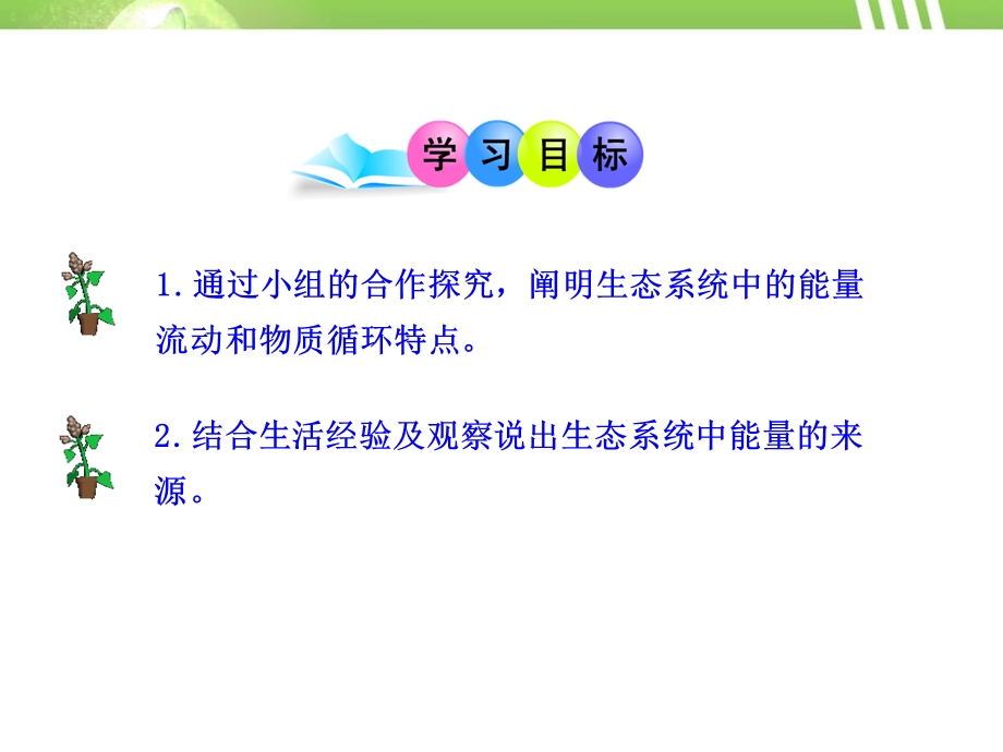 《生态系统中的能量流动和物质循环》课件.pptx_第3页