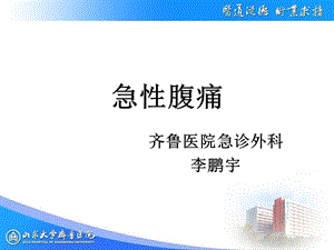 急性腹痛呕血与便血呕吐课件.ppt