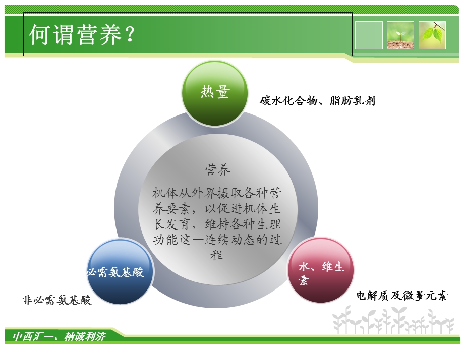 肠外营养的管理ppt课件.ppt_第3页