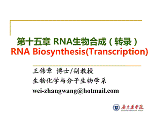 第十五章rna生物合成课件.ppt