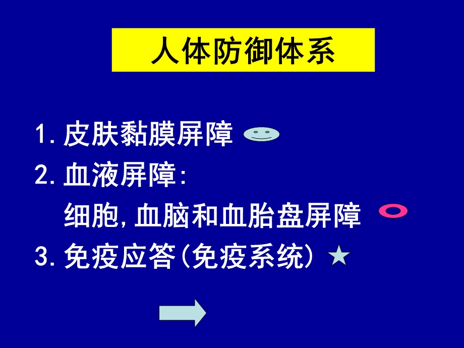 免疫组织和器官（精品PPT）课件.ppt_第3页