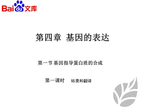 基因指导蛋白质的合成课件 生物高二必修二第四章第一节人教版.ppt