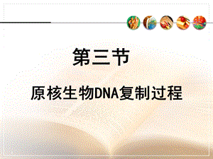 七科联考-生物化学-第十四章DNA的生物合成课件.ppt