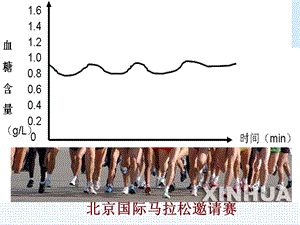 胰岛素胰高血糖素 课件.ppt