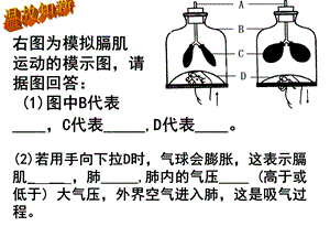 初中生物七年级下册《第一节流动的组织血液》_课件.ppt