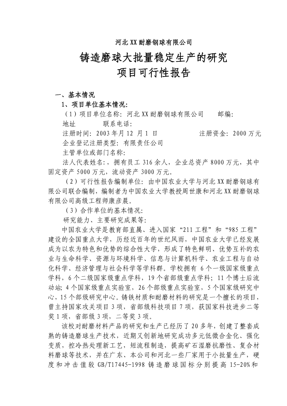 铸造磨球大批量稳定生产项目可行性研究报告.doc_第1页