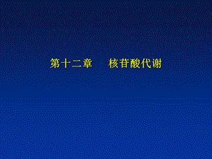 嘧啶核苷酸的分解代谢课件.ppt