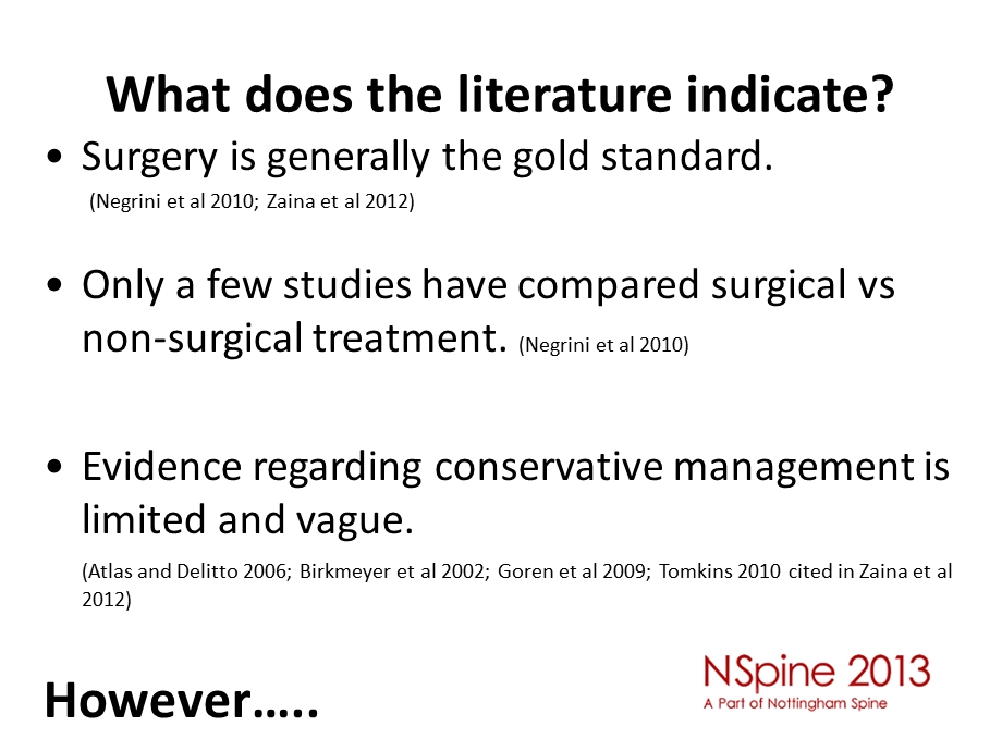 Lumbar Spinal Stenosis - NSpine：腰椎椎管狭窄nspine课件.ppt_第3页