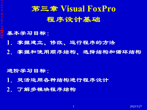 第三章 VF程序设计基础——课件.ppt