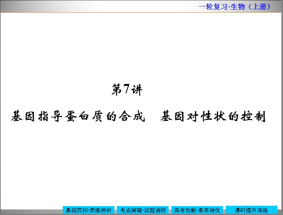 2015届高三生物一轮复习ppt课件 人教版 必修247基因指导蛋白质的合成基因对性状的控制.ppt_第3页