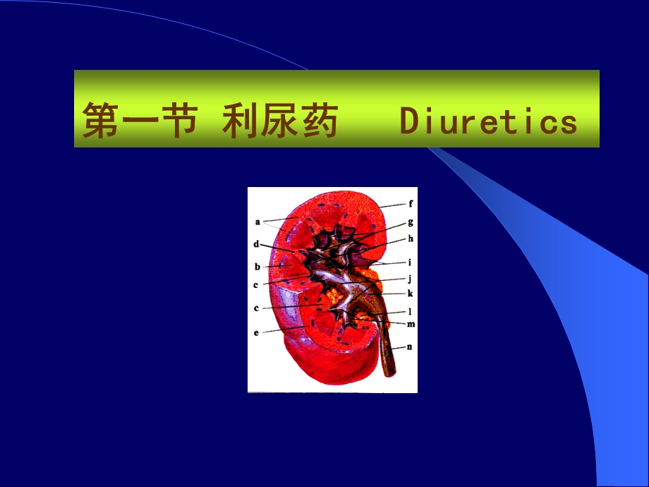 xin利尿药 课件.ppt_第2页