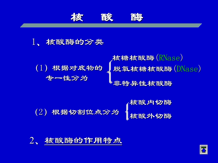 第八章 核酸的酶促降解及核苷酸代谢课件.ppt_第3页