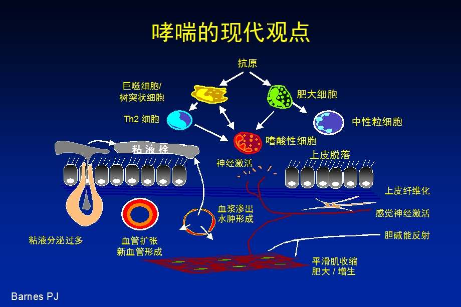 儿童哮喘诊治研究进展课件ppt.ppt_第2页