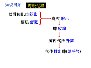 人教版七年级下册生物4.4.1流动的组织-—血液课件.ppt