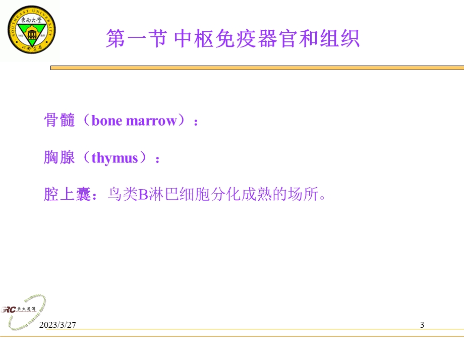 免疫学ppt课件第二章 免疫组织和器官.ppt_第3页