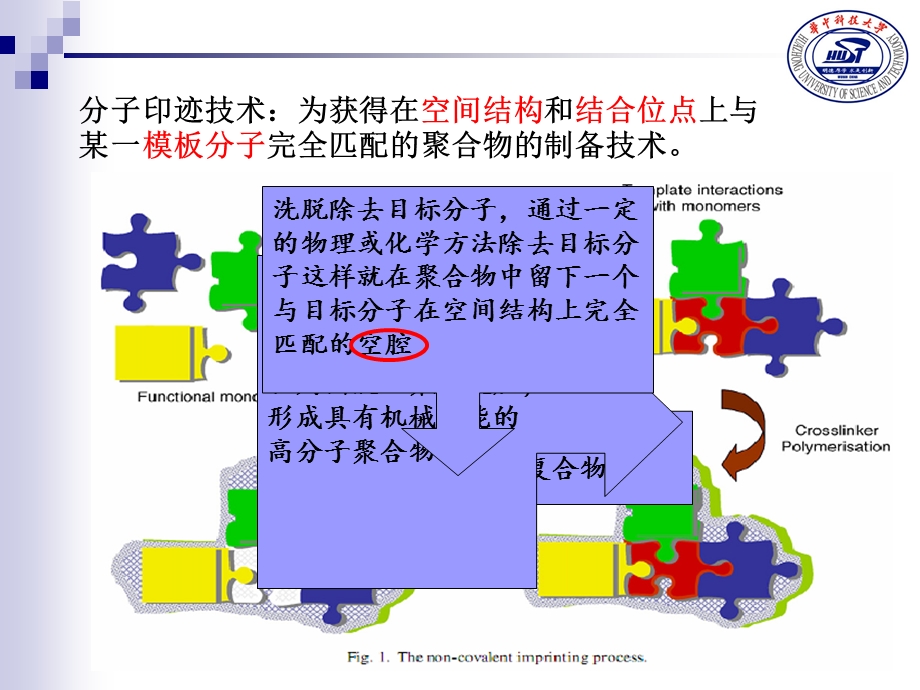 分子印迹技术课件.ppt_第2页