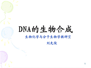 DNA的生物合成(课件).ppt