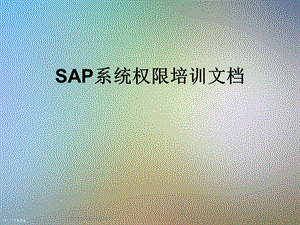 SAP系统权限培训文档课件.ppt