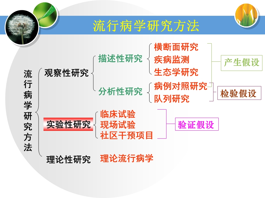 预防医学实验性研究 课件.ppt_第2页