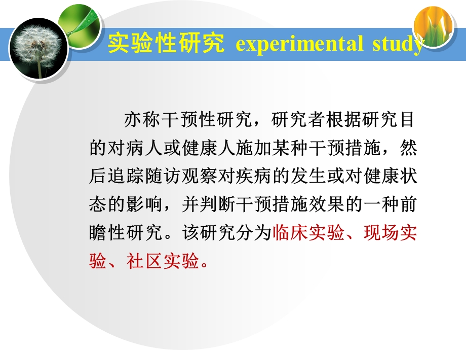 预防医学实验性研究 课件.ppt_第3页