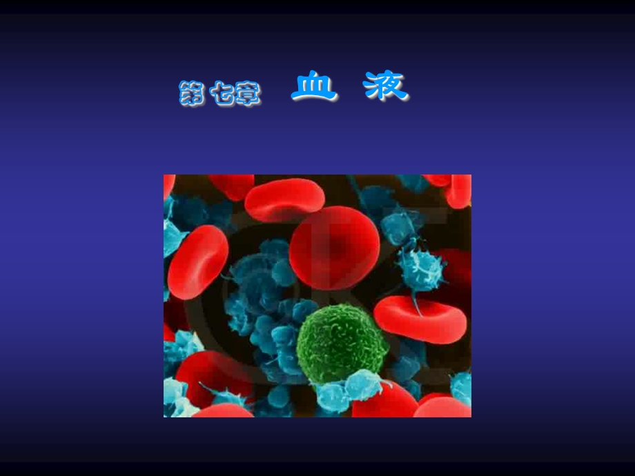 解剖生理血液 课件.ppt_第1页