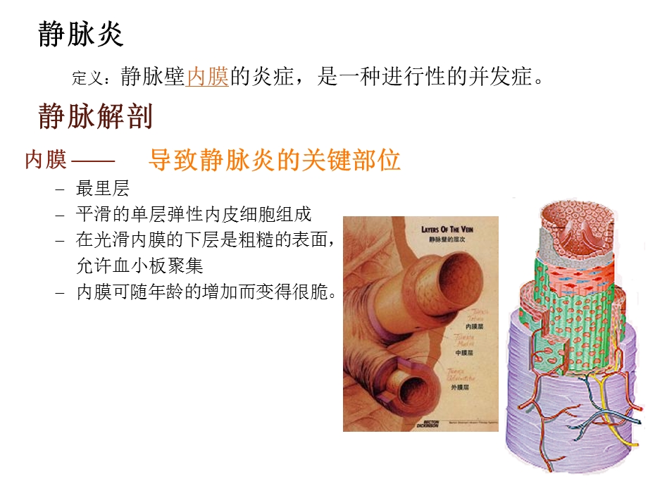 静脉输液并发症的预防及处理课件.ppt_第3页