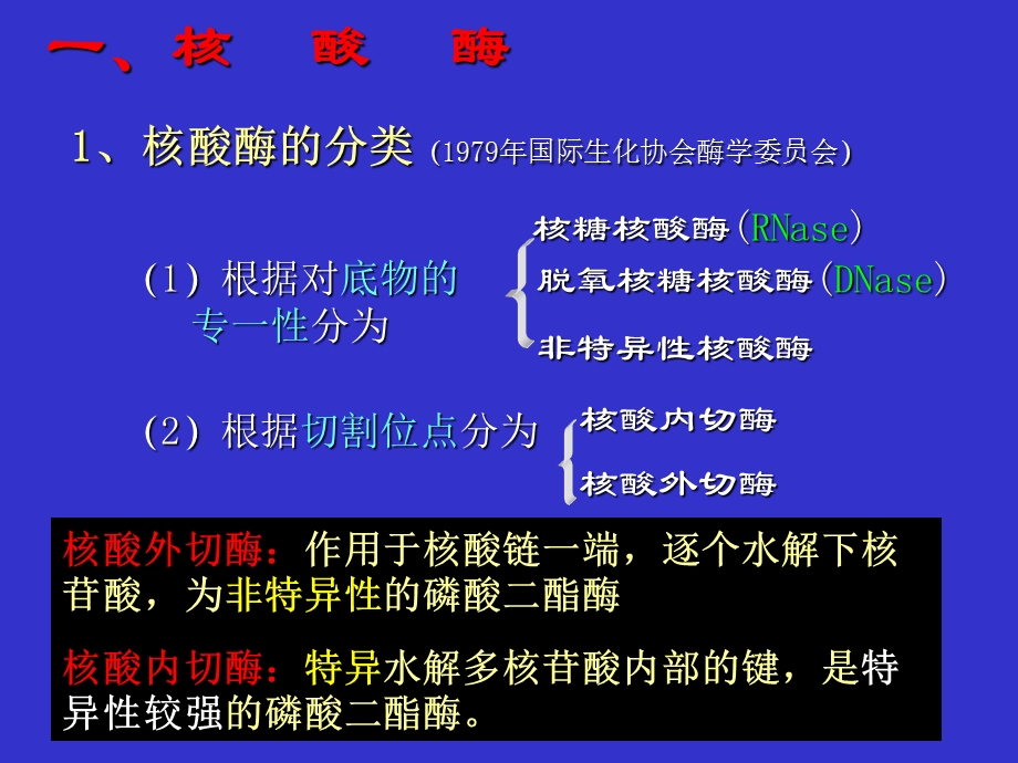 第六章 核酸化学yu代谢课件.ppt_第2页