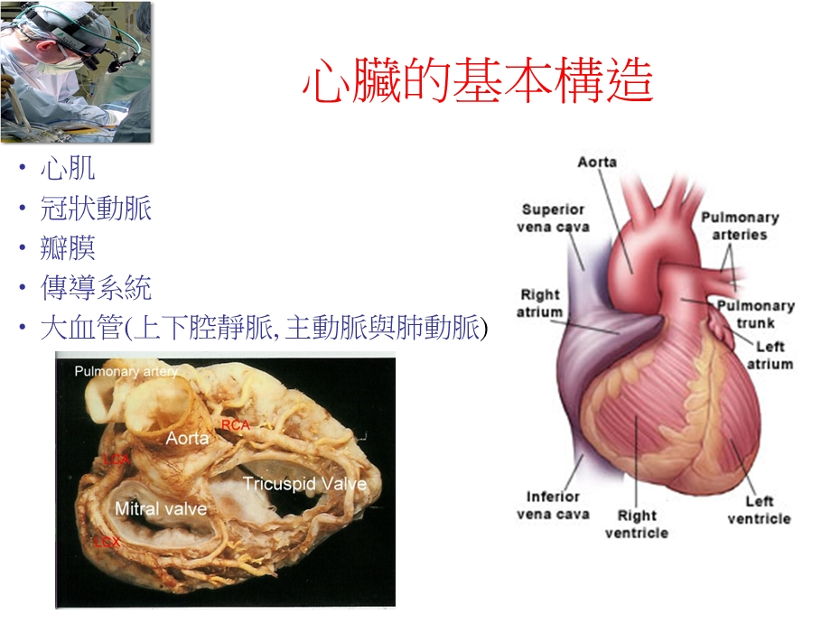 加护病房心脏外科训练课程课件.ppt_第2页