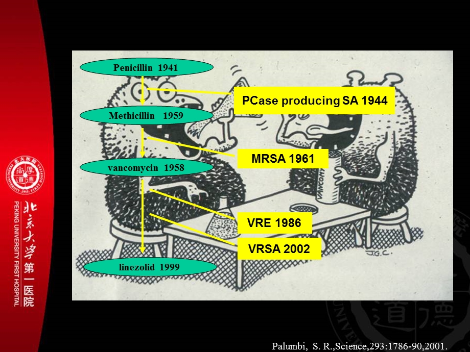 临床药师与抗菌药物合理应用课件.ppt_第3页