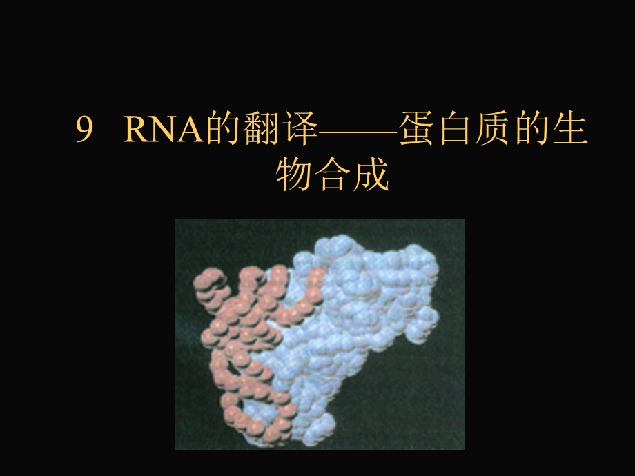 NJUST 分子生物学ppt课件 09RNA的翻译蛋白质的生物合成.ppt_第1页