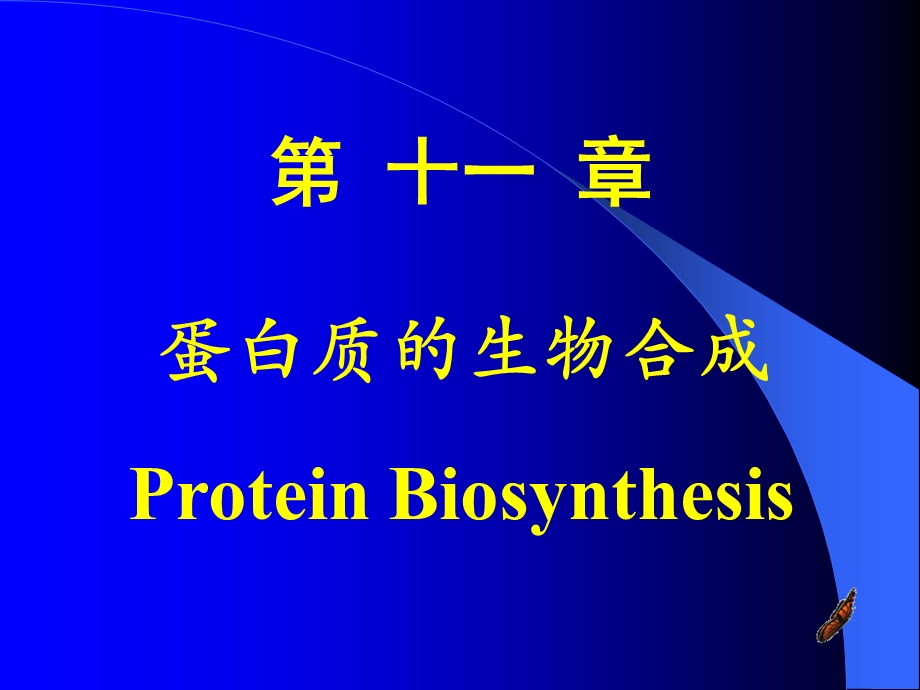 蛋白质的生物合成 课件.ppt_第1页