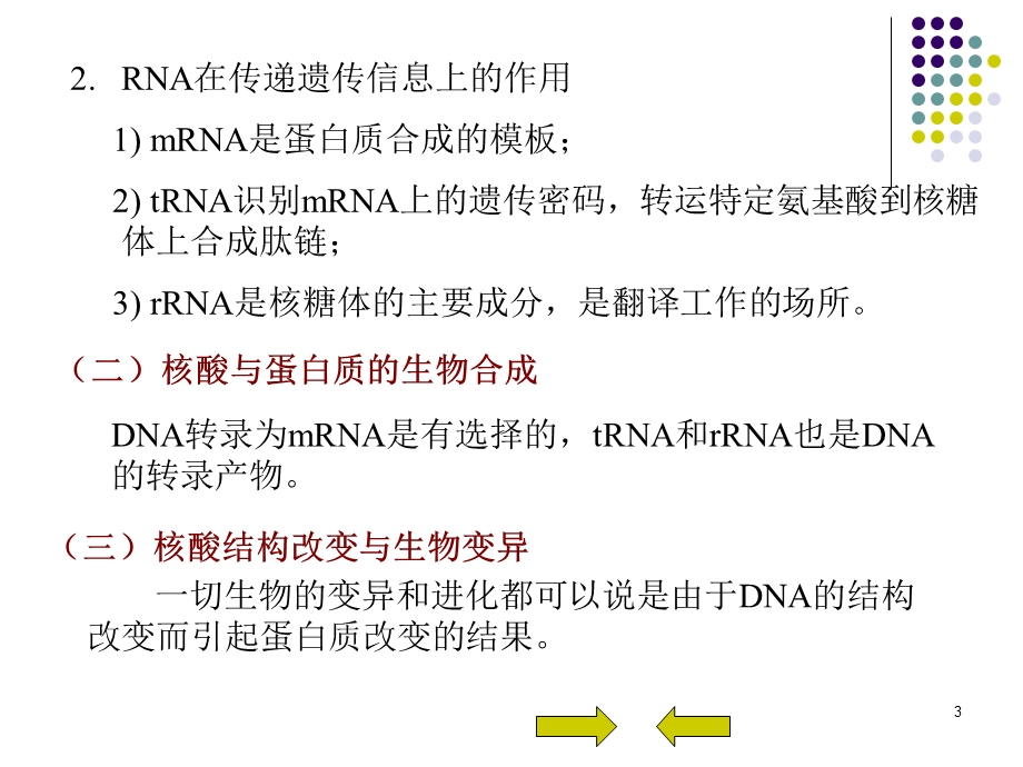 第八章 核酸化学与代谢课件.ppt_第3页