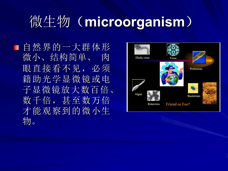 医学微生物学ppt课件绪论.ppt_第2页