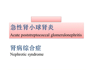 肾小球肾炎、肾病综合征精品ppt课件.pptx