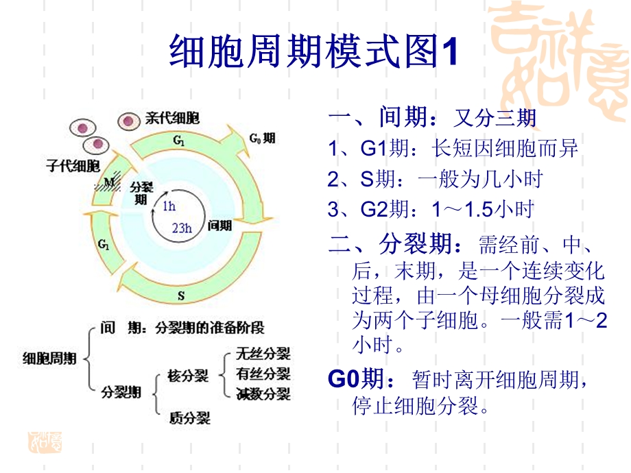 化疗药物骨髓抑制的分度、治疗和护理ppt课件.ppt_第3页