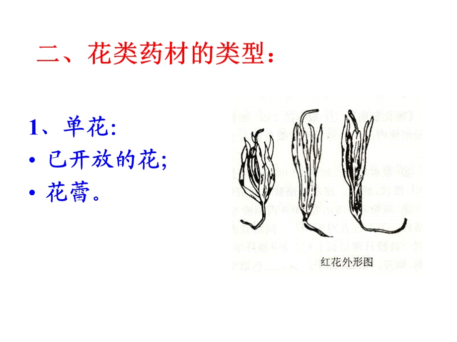 中药鉴定学花类药材课件.ppt_第3页